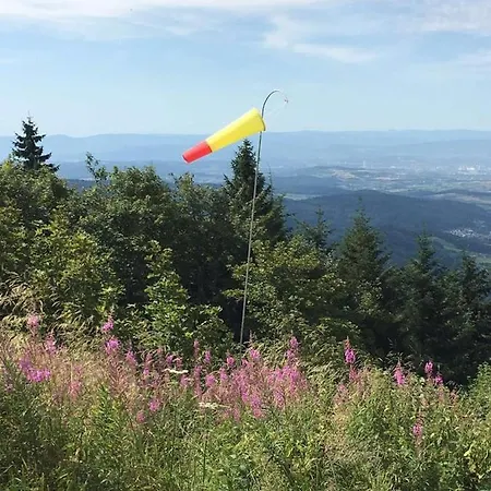 ホテル Berghaus Hochblauen 3*