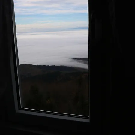 ホテル Berghaus Hochblauen 3*