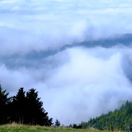 Berghaus Hochblauen ホテル