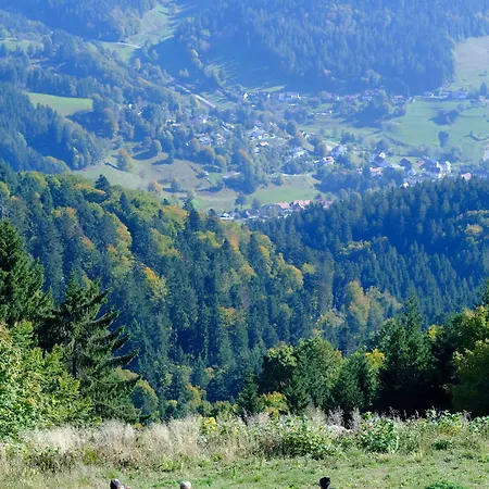 Berghaus Hochblauen Marxzell