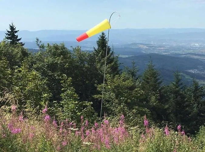 호텔 Berghaus Hochblauen 3*