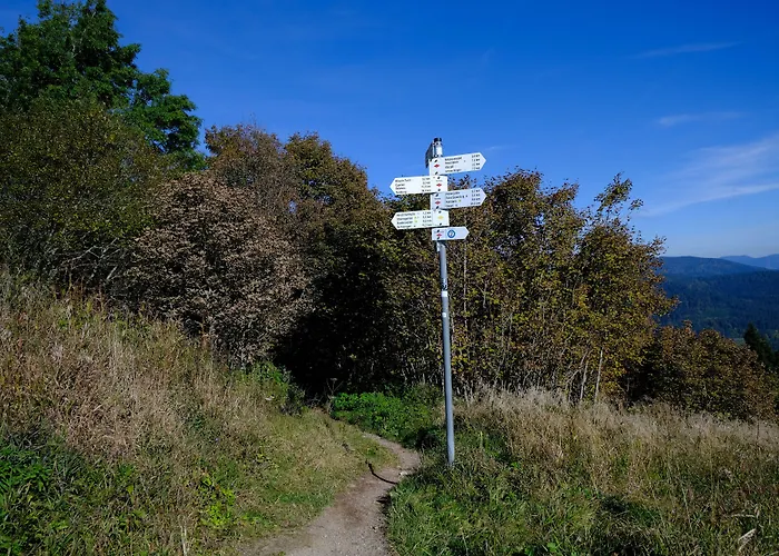 Berghaus Hochblauen 3*
