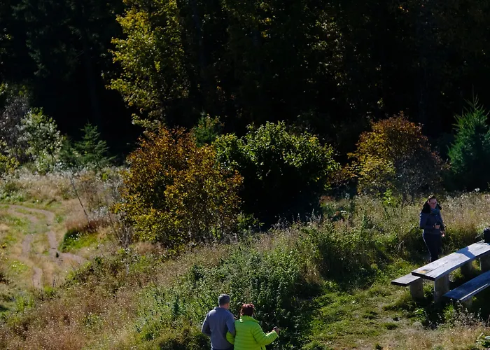 Berghaus Hochblauen 호텔 3*