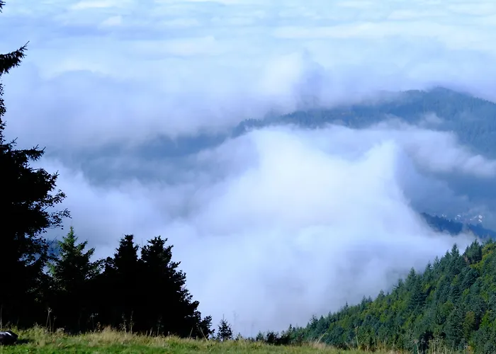 Berghaus Hochblauen 호텔